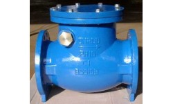 英标止回阀 BS5153SWING CHECK VALVE